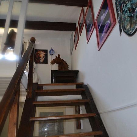 Gites Chambres D'Hotes Mazet Du Marechal Ferrant แซ็งต์-มารี-เดอ-ลา-แมร์ ภายนอก รูปภาพ