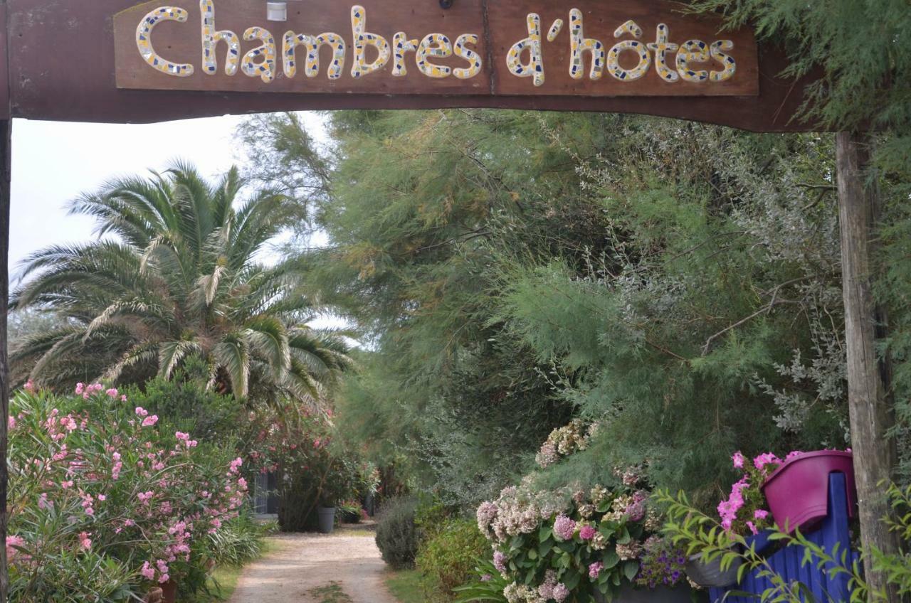 Gites Chambres D'Hotes Mazet Du Marechal Ferrant แซ็งต์-มารี-เดอ-ลา-แมร์ ภายนอก รูปภาพ