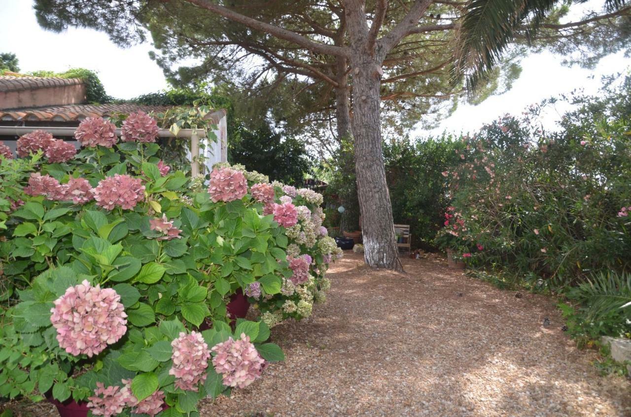 Gites Chambres D'Hotes Mazet Du Marechal Ferrant แซ็งต์-มารี-เดอ-ลา-แมร์ ภายนอก รูปภาพ